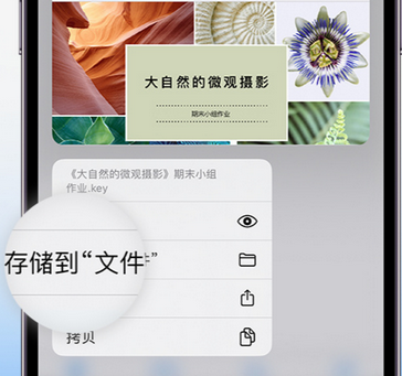 旌德apple维修中心分享iPhone文件应用中存储和找到下载文件