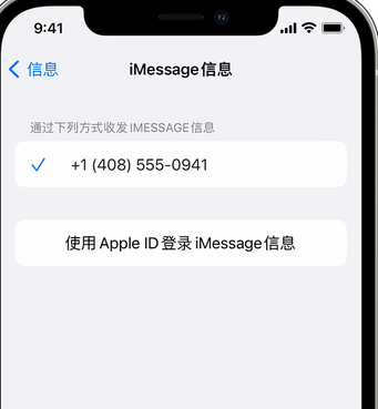 旌德apple维修iPhone上无法正常发送iMessage信息 