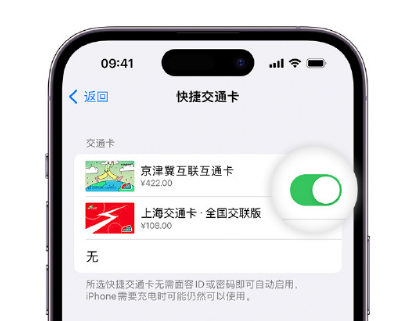 旌德apple维修点分享iPhone上更换Apple Pay快捷交通卡手绘卡面 