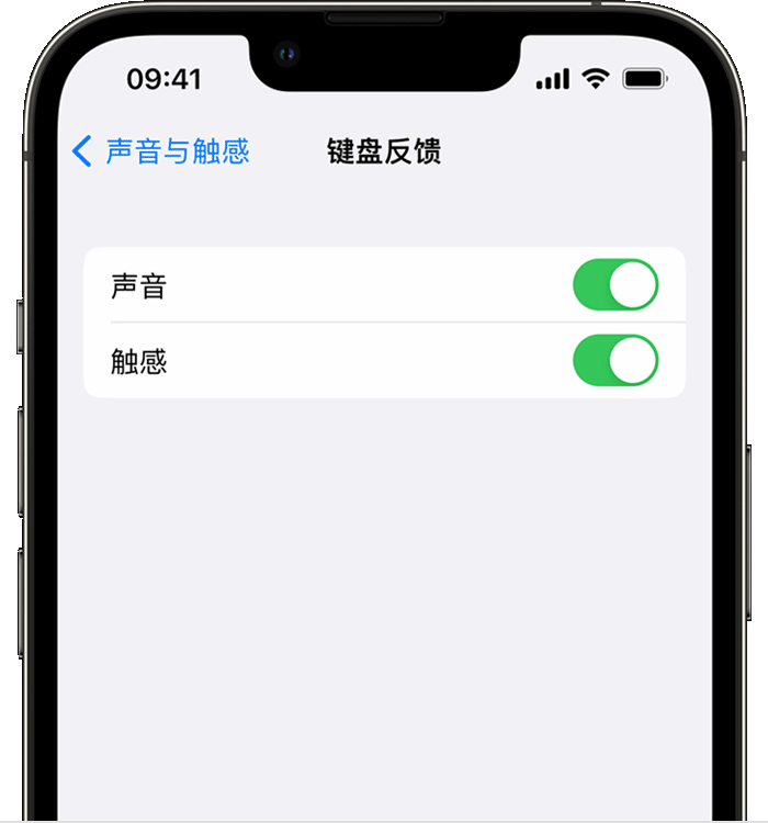 旌德苹果14维修店分享如何在 iPhone 14 机型中使用触感键盘 