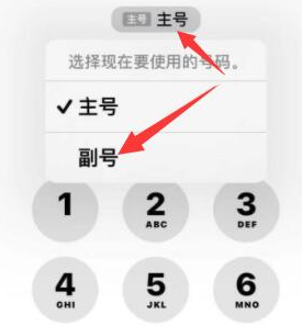 旌德苹果14维修店分享iPhone 14 Pro Max使用副卡打电话的方法 