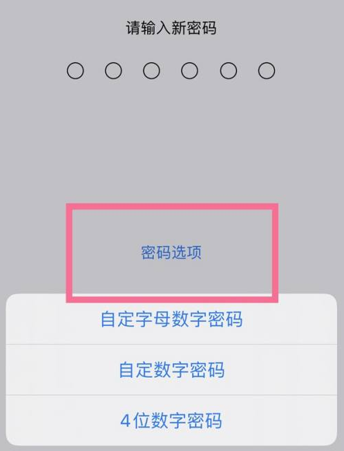 旌德苹果14维修分享iPhone 14plus设置密码的方法 