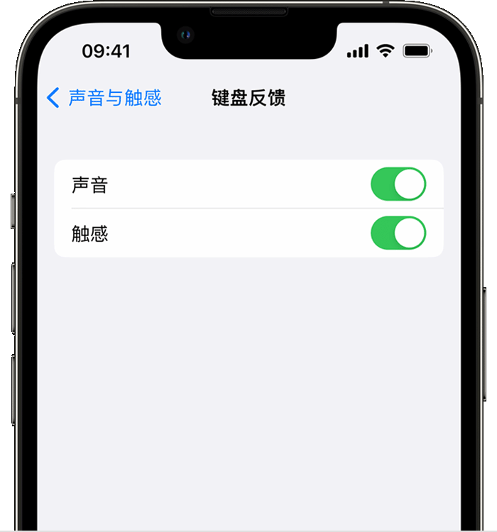 旌德苹果14维修分享iPhone 14 系列机型如何开启键盘声音或触感反馈 