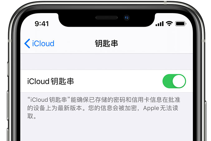 旌德苹果手机维修分享在 iPhone 上开启 iCloud 钥匙串之后会储存哪些信息 