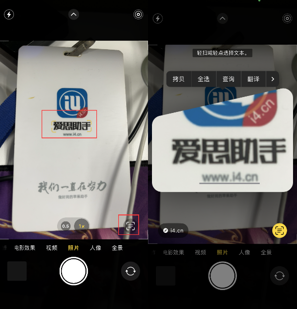 旌德苹果手机维修分享升级iOS 16后如何通过相机翻译文本 