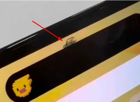 旌德苹果14维修分享iPhone 14 Pro Max灵动岛怎么养宠物 