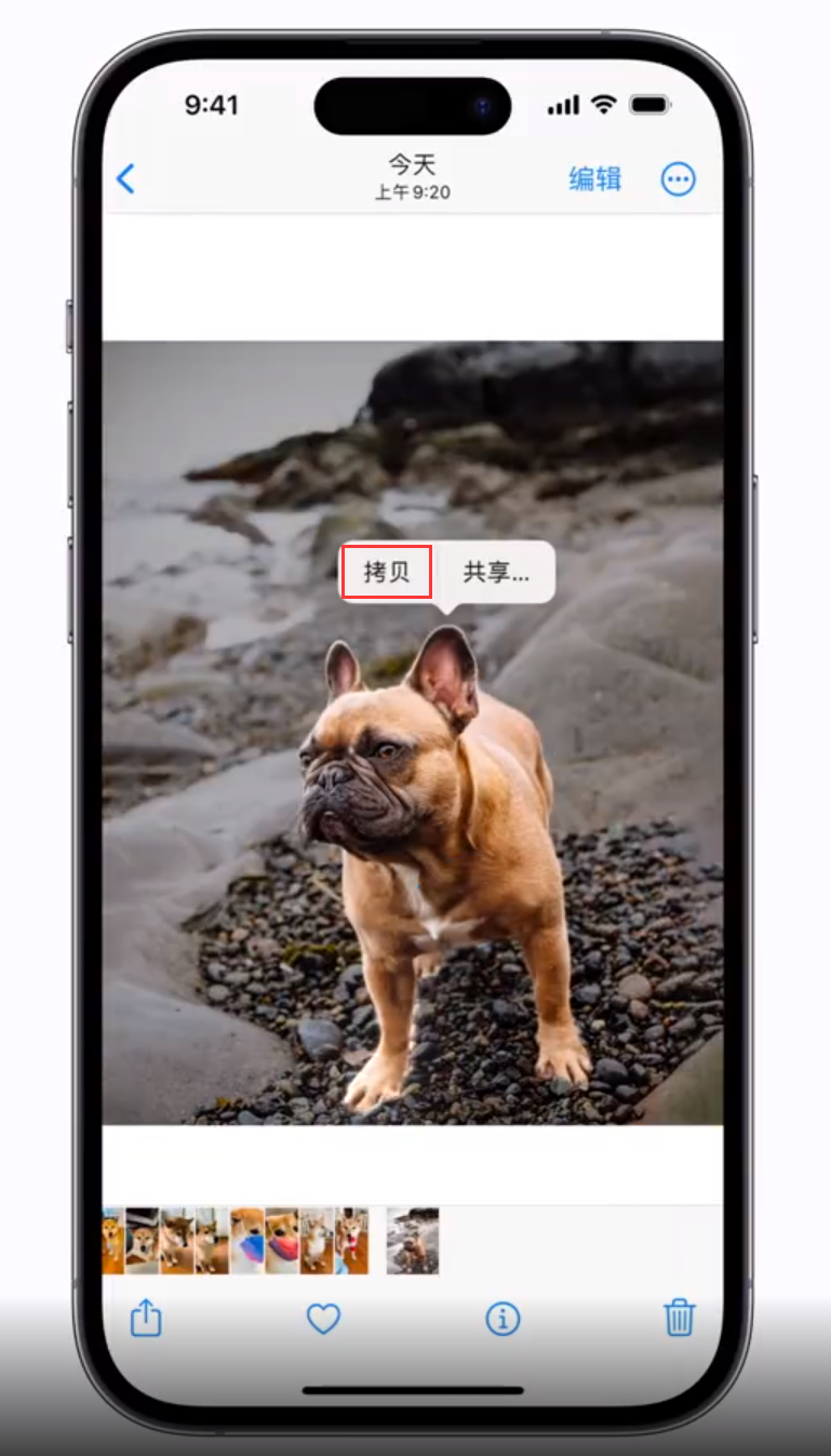 旌德苹果手机维修分享 iOS 16 自带一键抠图功能 