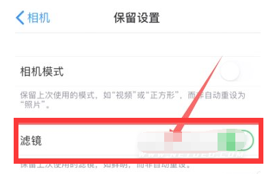 旌德苹果13维修分享iPhone13拍照有绿点是怎么回事 
