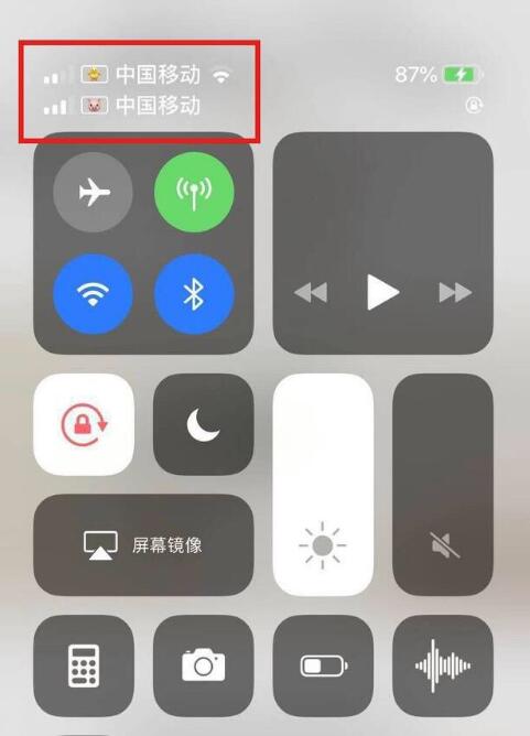 旌德苹果手机维修分享为 iPhone 12 双卡设置标签 